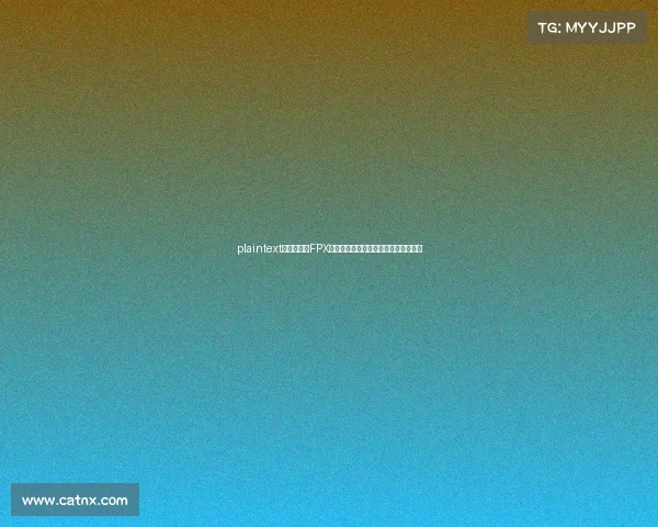 plaintext凤舞九天：FPX电子竞技俱乐部的中国基因与荣耀征程